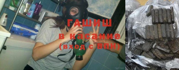 индика Покачи