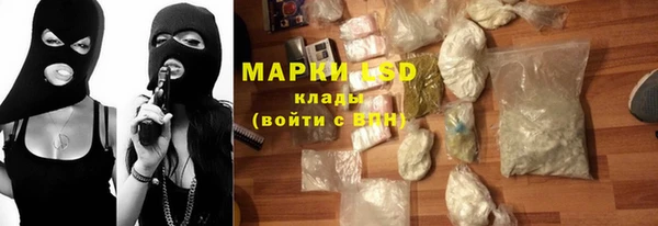 ГАЛЛЮЦИНОГЕННЫЕ ГРИБЫ Покров