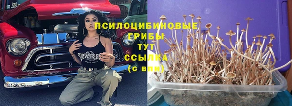 apvp Богданович